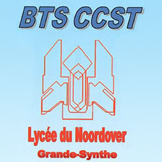 logo CCST
